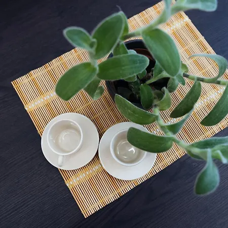 Domus Clelia Apartmán